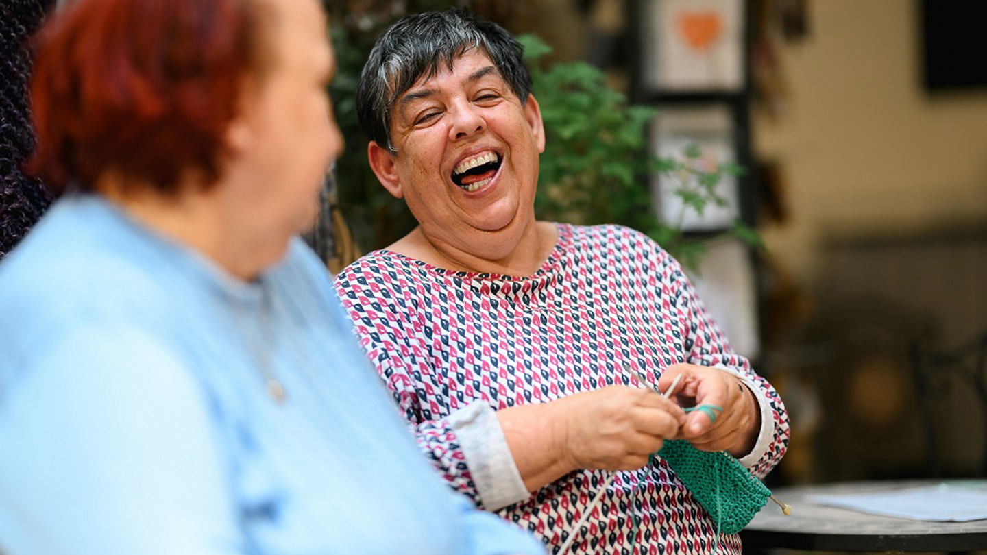 Kleinstadtbiotop Vöcklabruck