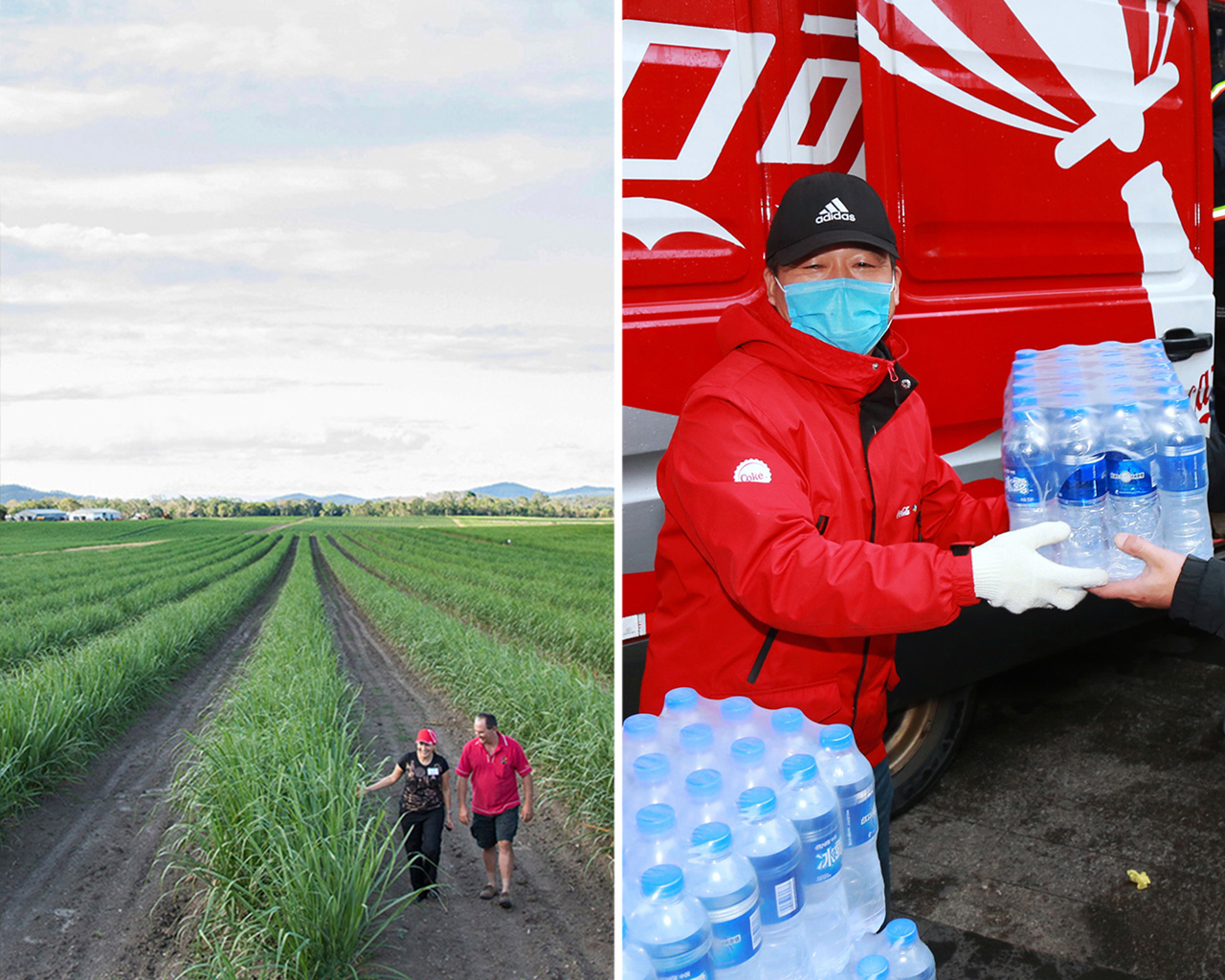 Radnici hodaju kroz polje šećerne trske, dok na drugoj fotografiji volonter u zaštitnoj masci i crvenoj jakni dijeli boce vode iz Coca-Cola vozila.