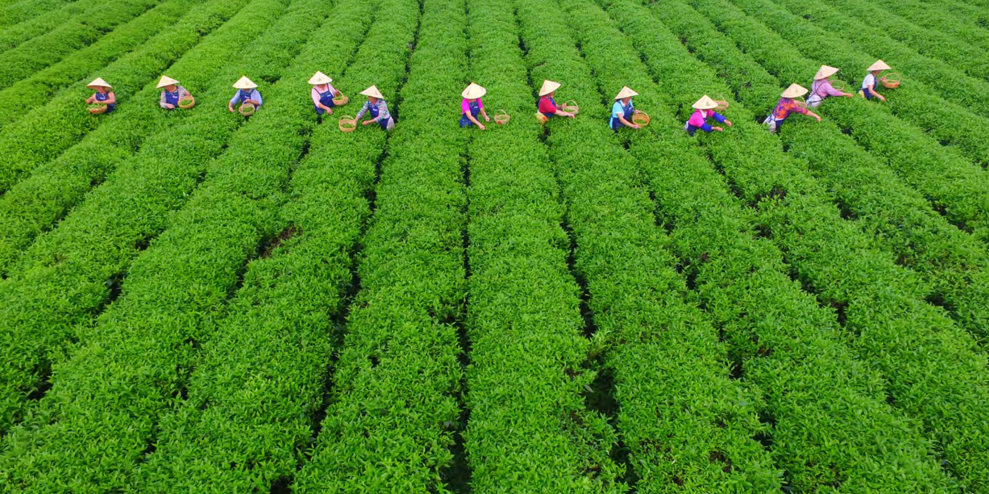 cq5dam.web.1280.1280