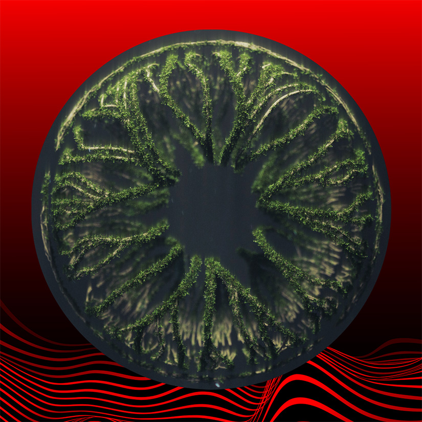 Diseño promocional del festival Estéreo Picnic 2025 en el Parque Simón Bolívar, Bogotá, con el logo de Coke Studio sobre un fondo negro con ondas rojas.