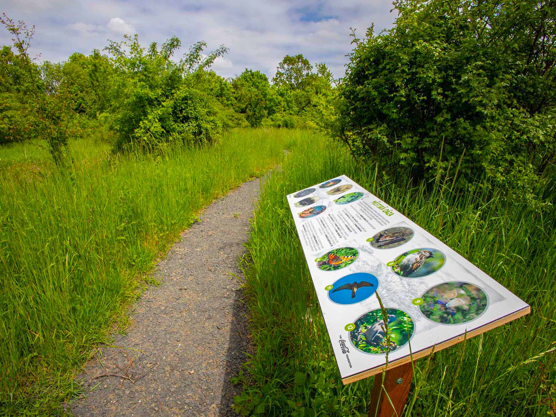 Naučná stezka s informační tabulí o místní fauně a flóře uprostřed zeleně.