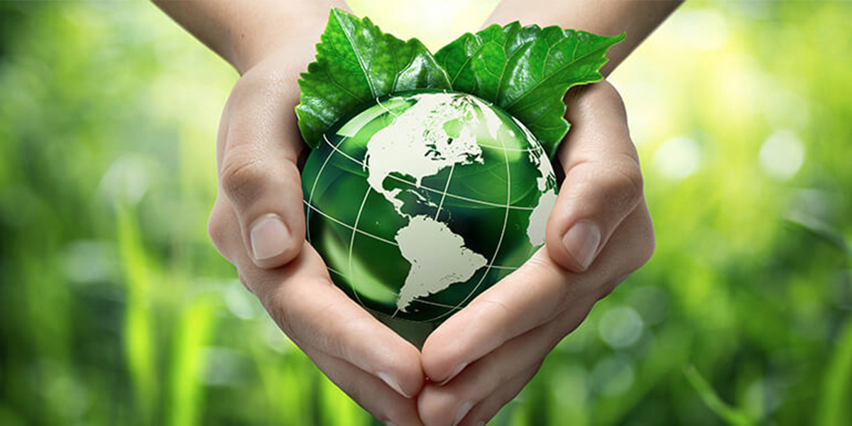 Käed hoiavad rohelist maakera, millel on lehed ja taustal looduse hägu.