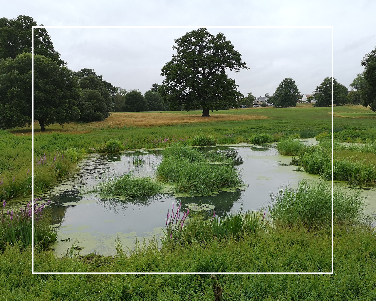 Your Support Is Real Magic