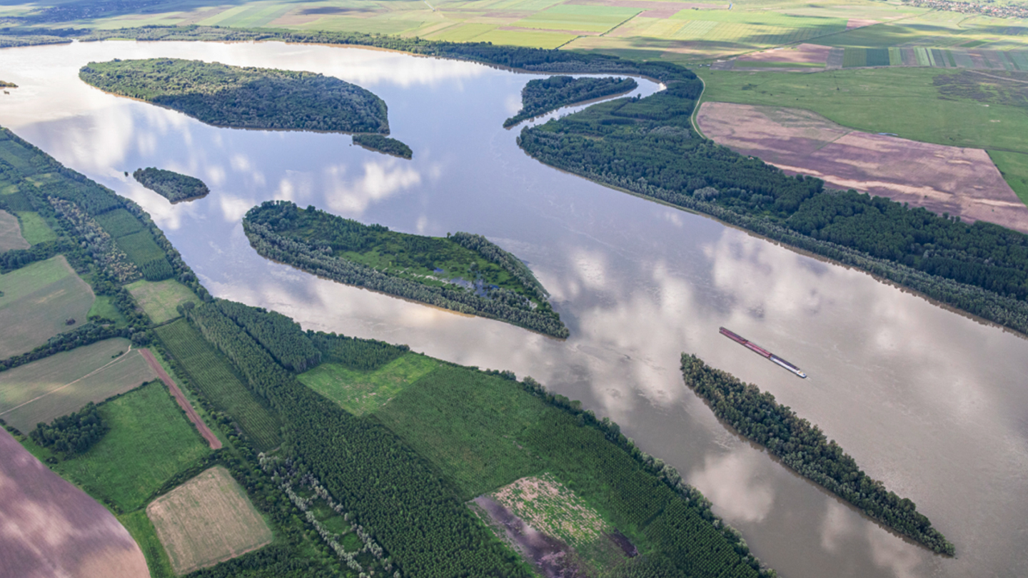 Les petits ruisseaux font les grandes rivières 