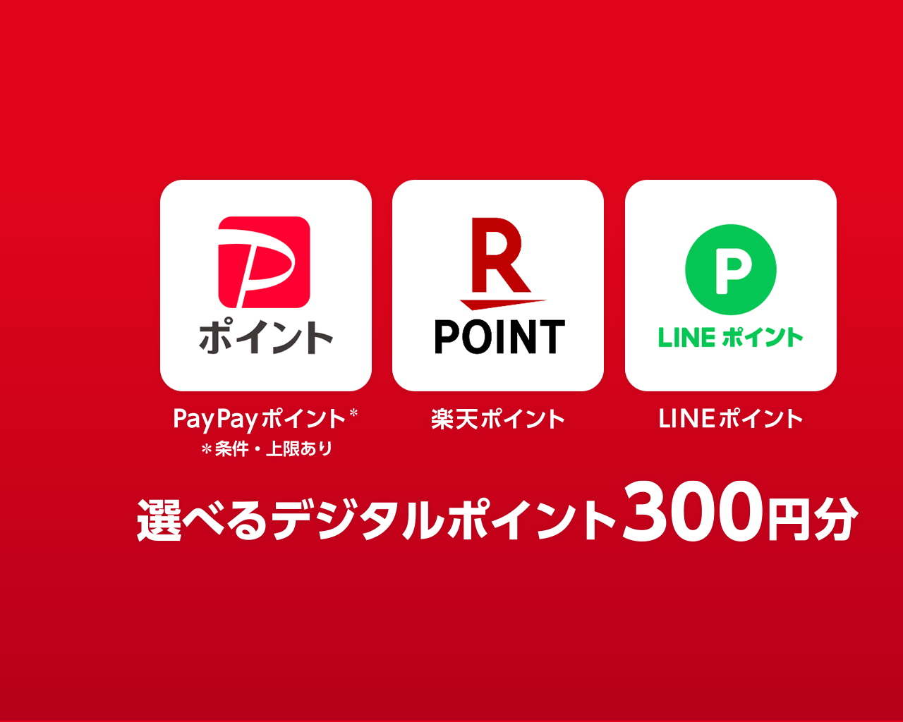 選べるデジタルポイント300円分