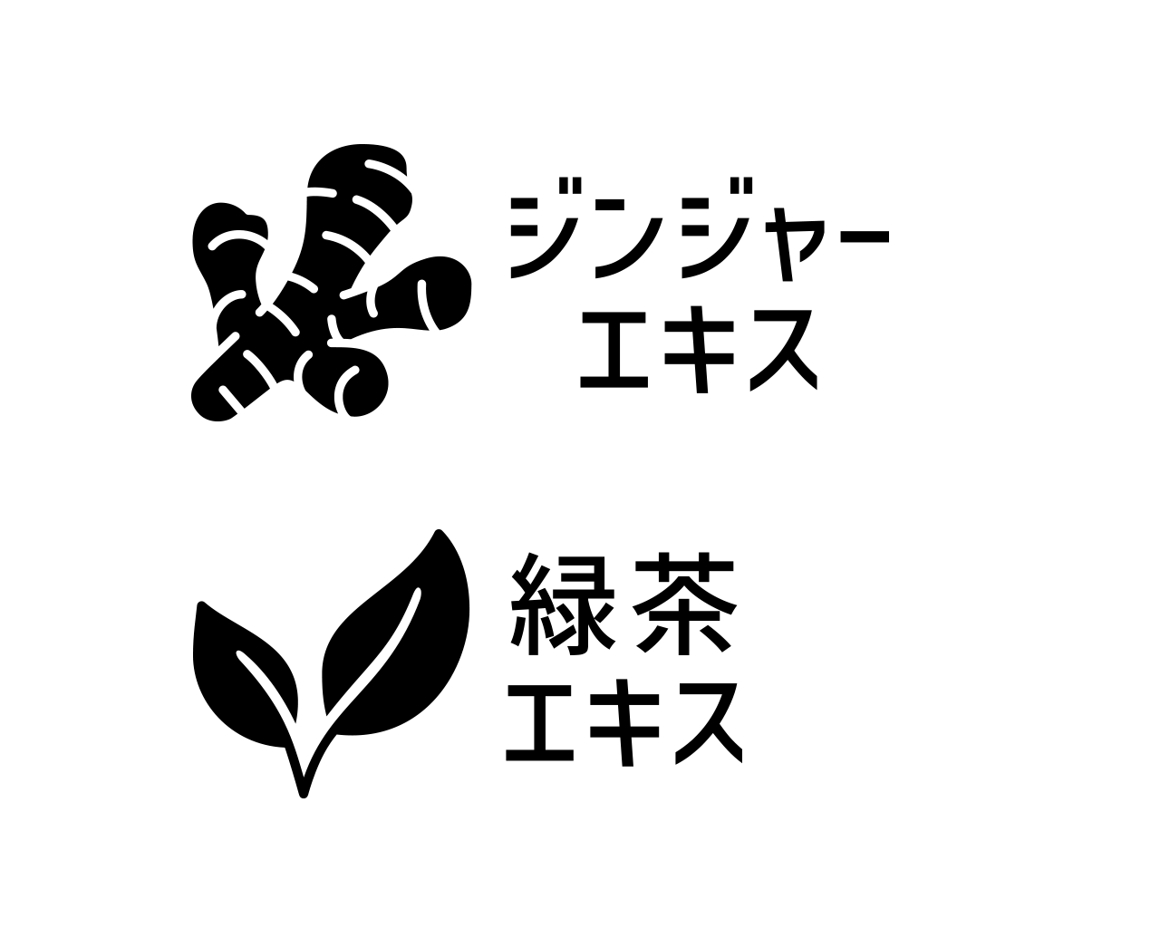 ジンジャーエキス 緑茶エキス