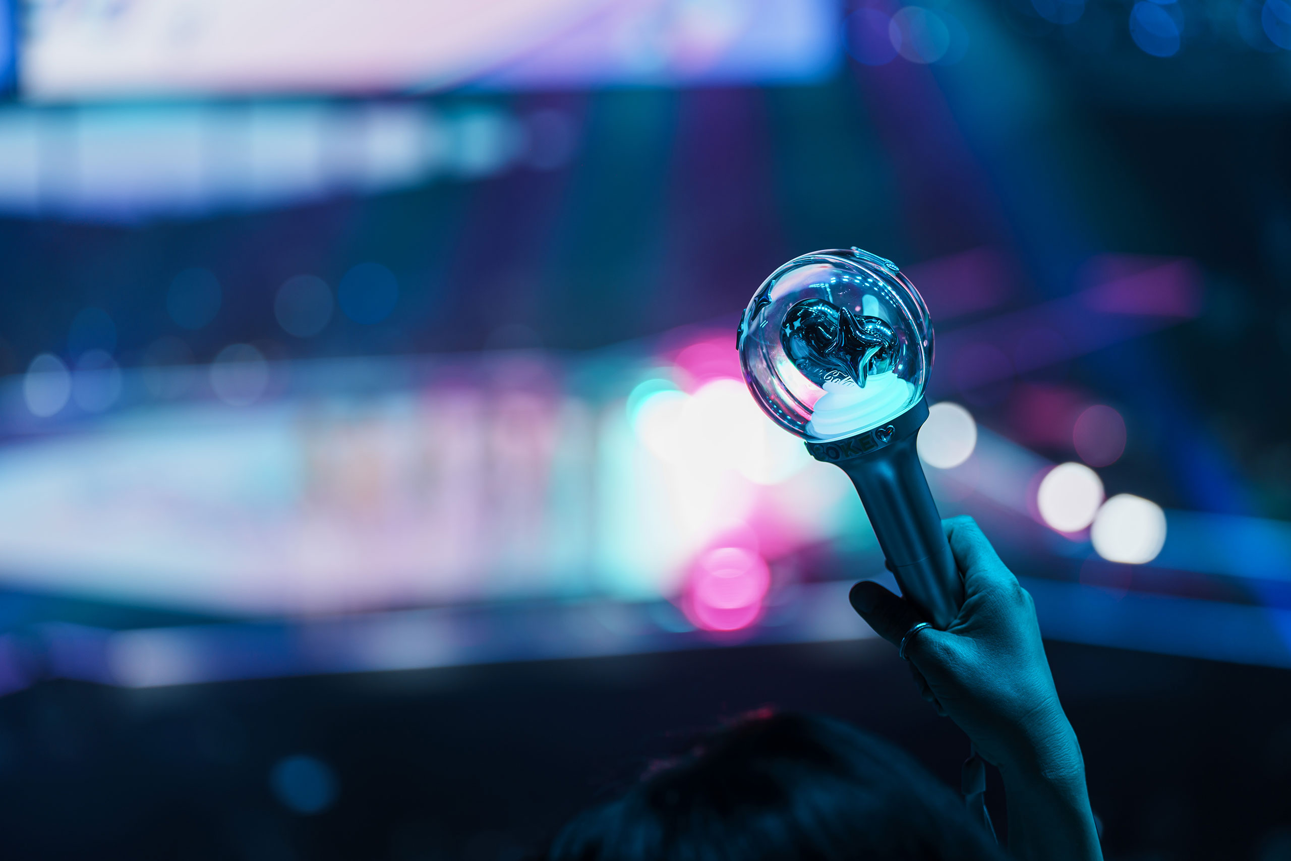 공연장에서 응원봉을 들고 있는 모습