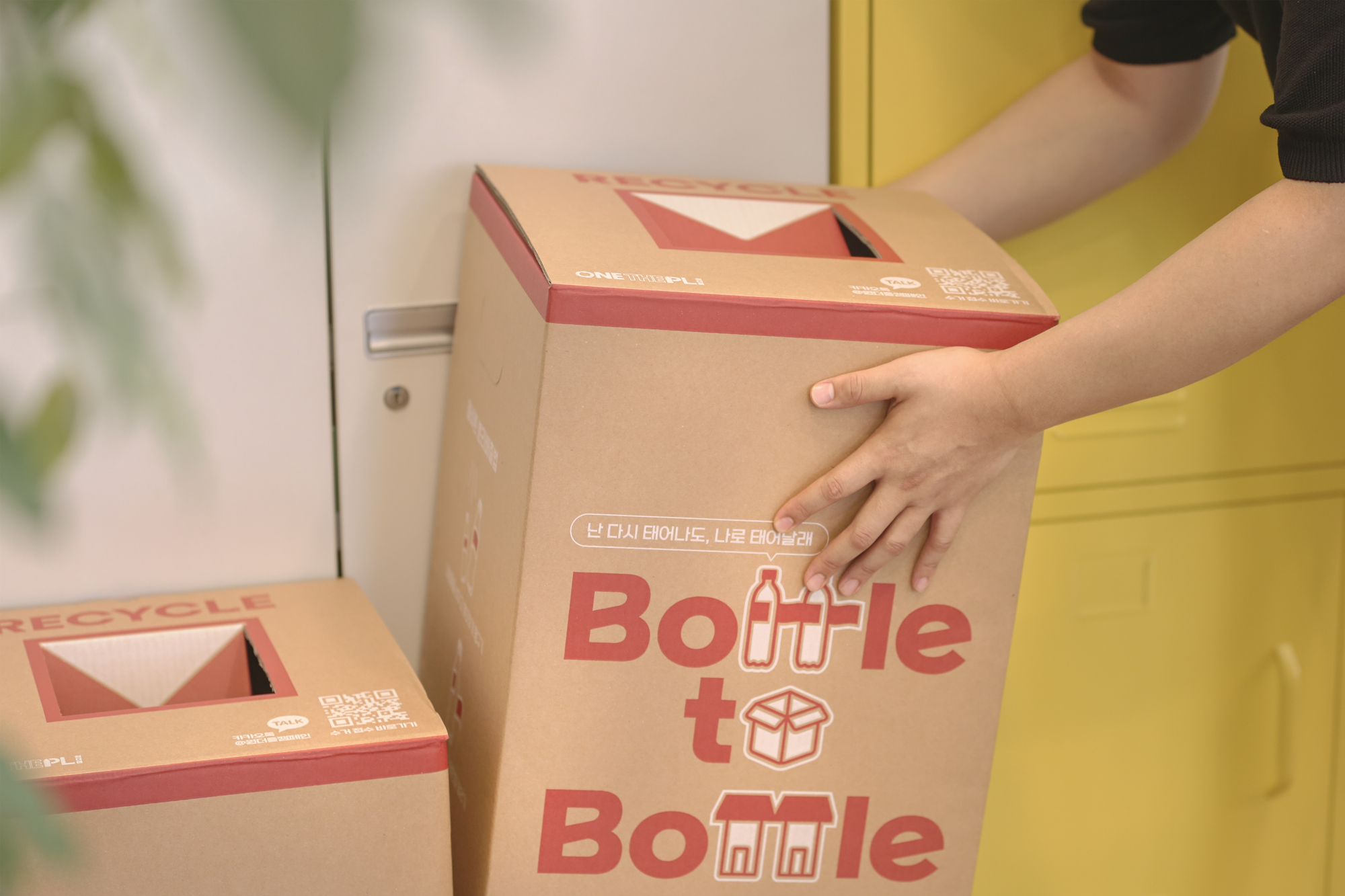 원더플 시즌 6 제로 웨이스트 박스를 들고 있는 모습