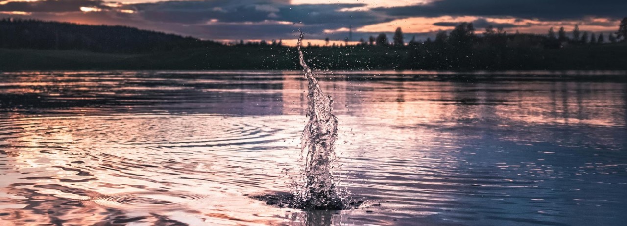 Paisaje de un lago con arboles de fondo.